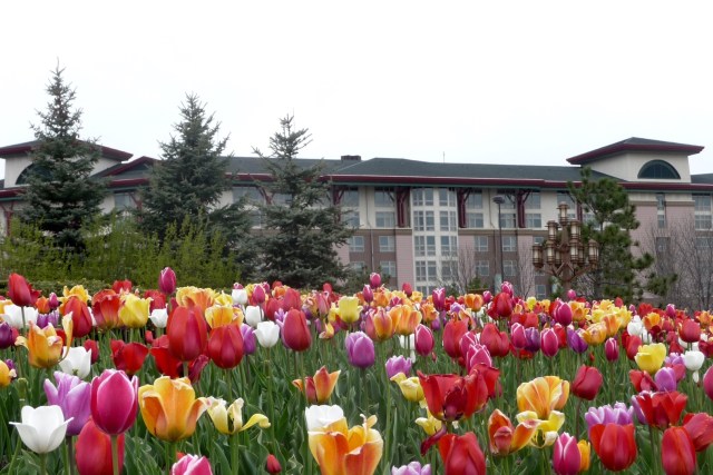Soaring Eagle Spa and Salon, Soaring Eagle Casino Resort